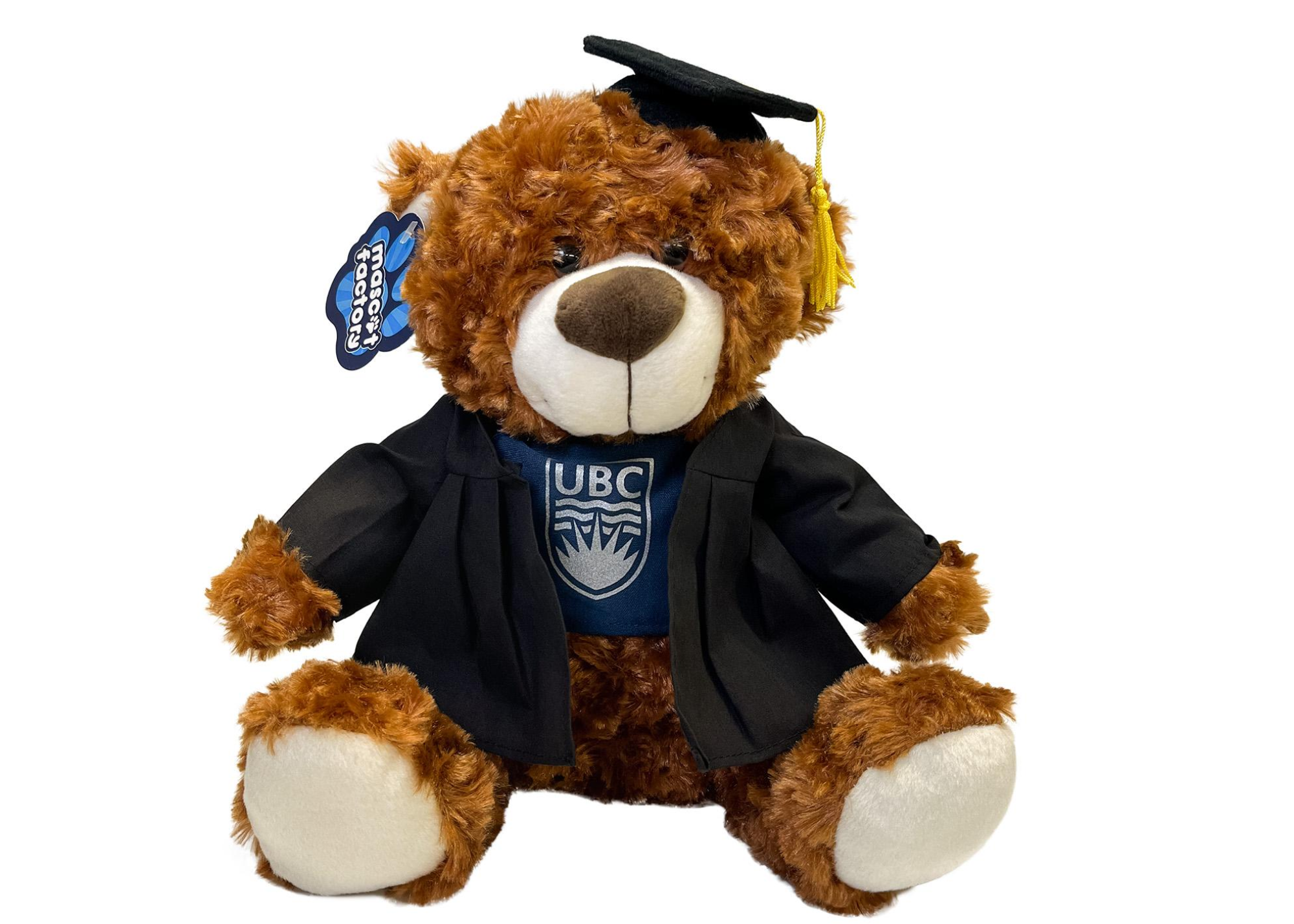 UBC Grad Gown Bear