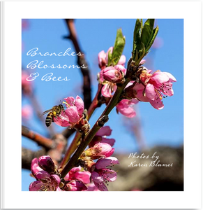 Branches, Blossoms & Bees Photo Book