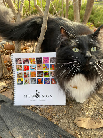 Mewsings: A Purrfect Journal