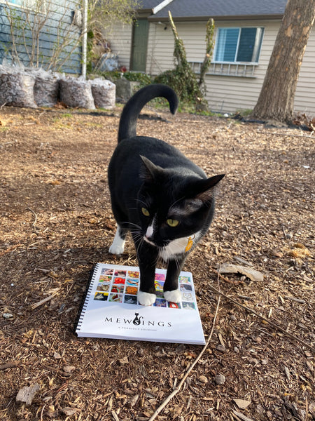 Mewsings: A Purrfect Journal